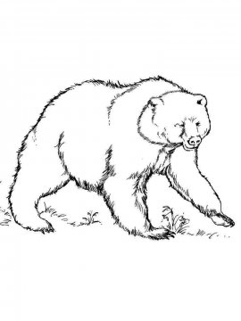 Раскраска Медведь 8 - Бесплатно распечатать