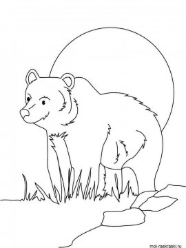 Раскраска Медведь 9 - Бесплатно распечатать