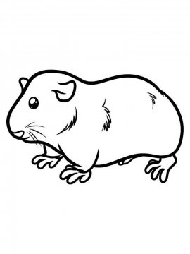 Раскраска Морская Свинка 7 - Бесплатно распечатать