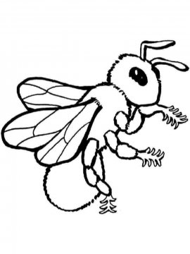 Раскраска Пчела 25 - Бесплатно распечатать