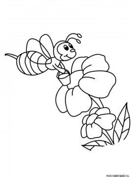 Раскраска Пчела 10 - Бесплатно распечатать