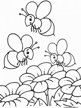 Раскраска Пчела 12 - Бесплатно распечатать