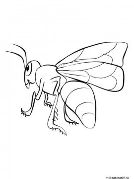 Раскраска Пчела 14 - Бесплатно распечатать