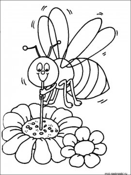 Раскраска Пчела 7 - Бесплатно распечатать