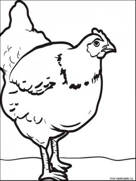 Раскраска Курица 10 - Бесплатно распечатать