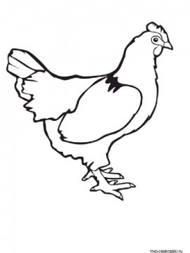 Раскраска Курица 11 - Бесплатно распечатать
