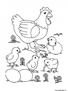 Раскраска Курица 12 - Бесплатно распечатать