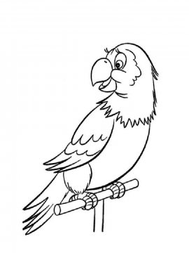 Раскраска Попугай 14 - Бесплатно распечатать