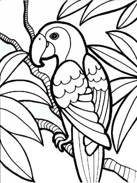 Раскраска Попугай 9 - Бесплатно распечатать
