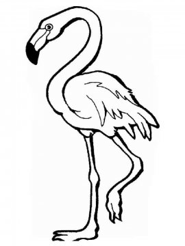 Раскраска Фламинго 20 - Бесплатно распечатать