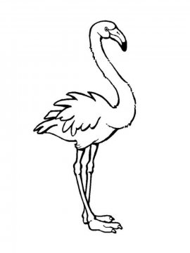 Раскраска Фламинго 6 - Бесплатно распечатать