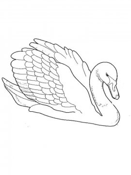 Раскраска Лебедь 25 - Бесплатно распечатать