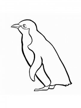 Раскраска Пингвин 17 - Бесплатно распечатать
