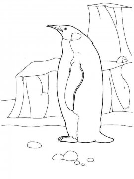 Раскраска Пингвин 3 - Бесплатно распечатать
