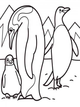 Раскраска Пингвин 7 - Бесплатно распечатать