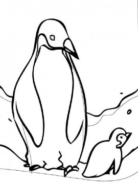 Раскраска Пингвин 8 - Бесплатно распечатать