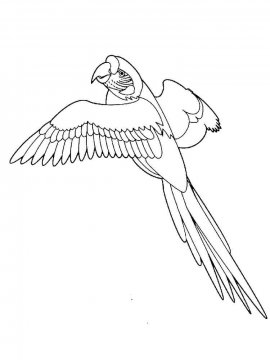 Раскраска Попугай Ара 14 - Бесплатно распечатать