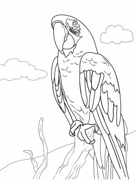 Раскраска Попугай Ара 18 - Бесплатно распечатать