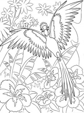 Раскраска Попугай Ара 11 - Бесплатно распечатать