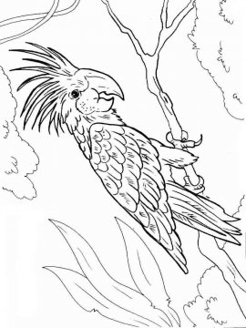 Раскраска Попугай Ара 12 - Бесплатно распечатать