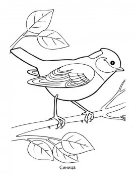 Раскраска Зимующие птицы 10 - Бесплатно распечатать