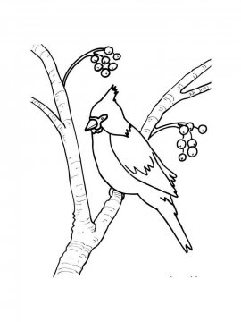 Раскраска Зимующие птицы 15 - Бесплатно распечатать
