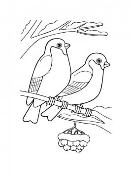 Раскраска Зимующие птицы 16 - Бесплатно распечатать