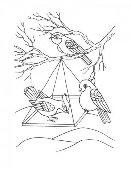 Раскраска Зимующие птицы 2 - Бесплатно распечатать