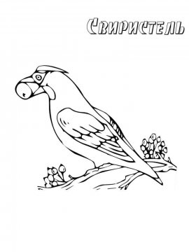 Раскраска Зимующие птицы 22 - Бесплатно распечатать