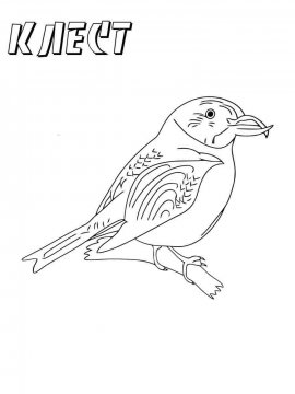 Раскраска Зимующие птицы 23 - Бесплатно распечатать
