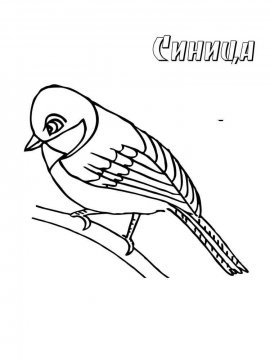 Раскраска Зимующие птицы 26 - Бесплатно распечатать