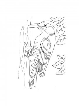 Раскраска Зимующие птицы 9 - Бесплатно распечатать