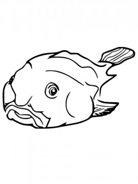 Раскраска Рыба Капля 11 - Бесплатно распечатать