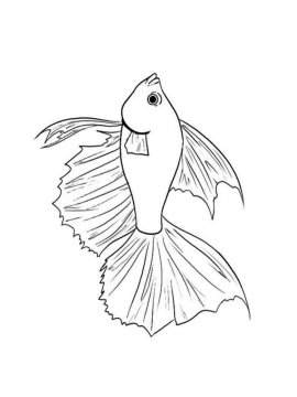 Раскраска Бойцовская рыба 7 - Бесплатно распечатать