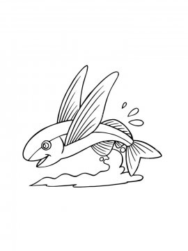 Раскраска Летучая рыба 12 - Бесплатно распечатать