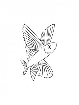 Раскраска Летучая рыба 15 - Бесплатно распечатать