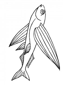 Раскраска Летучая рыба 2 - Бесплатно распечатать