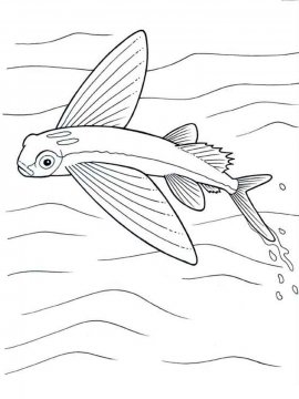 Раскраска Летучая рыба 4 - Бесплатно распечатать