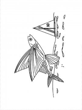 Раскраска Летучая рыба 6 - Бесплатно распечатать