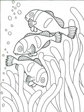 Раскраска Рыба Клоун 1 - Бесплатно распечатать