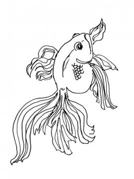 Раскраска Золотая рыбка 11 - Бесплатно распечатать
