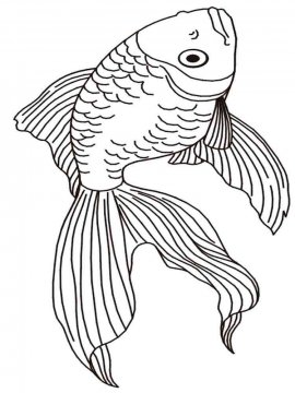 Раскраска Золотая рыбка 12 - Бесплатно распечатать