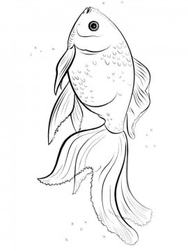 Раскраска Золотая рыбка 14 - Бесплатно распечатать