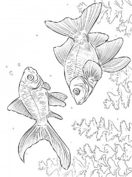 Раскраска Золотая рыбка 5 - Бесплатно распечатать