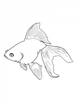 Раскраска Золотая рыбка 8 - Бесплатно распечатать
