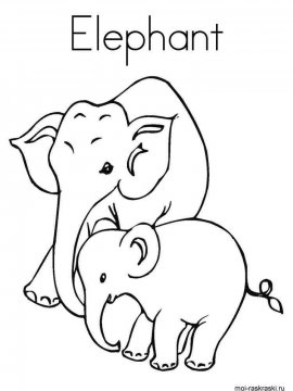 Раскраска Слон 25 - Бесплатно распечатать