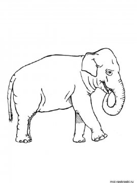 Раскраска Слон 34 - Бесплатно распечатать
