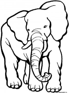 Раскраска Слон 40 - Бесплатно распечатать