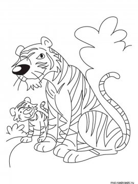 Раскраска Тигр 13 - Бесплатно распечатать