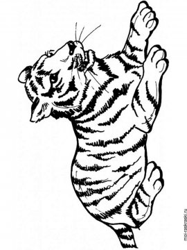 Раскраска Тигр 14 - Бесплатно распечатать